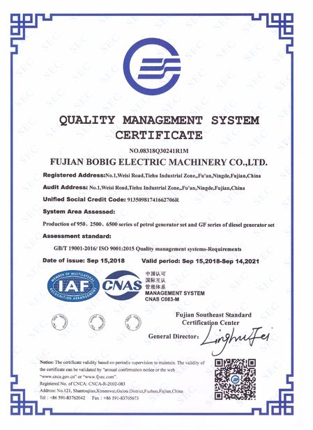 چین FUJIAN BOBIG ELECTRIC MACHINERY CO.,LTD گواهینامه ها